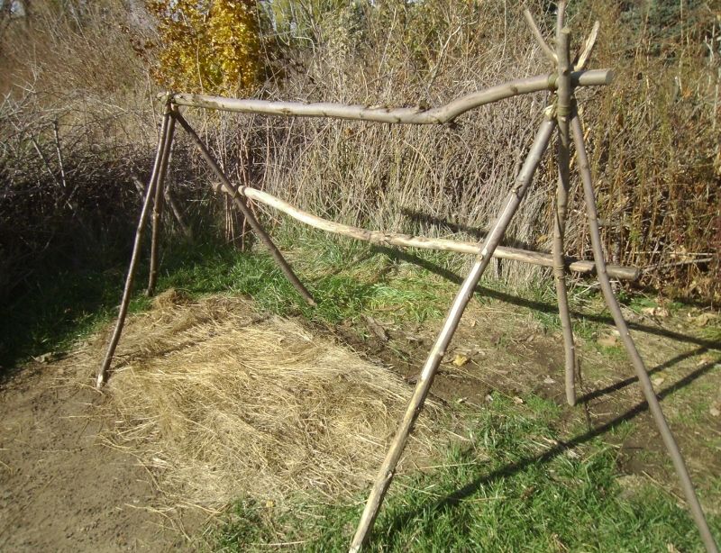 (A) Complete an Overnight in a Framed Shelter You Have Made Student